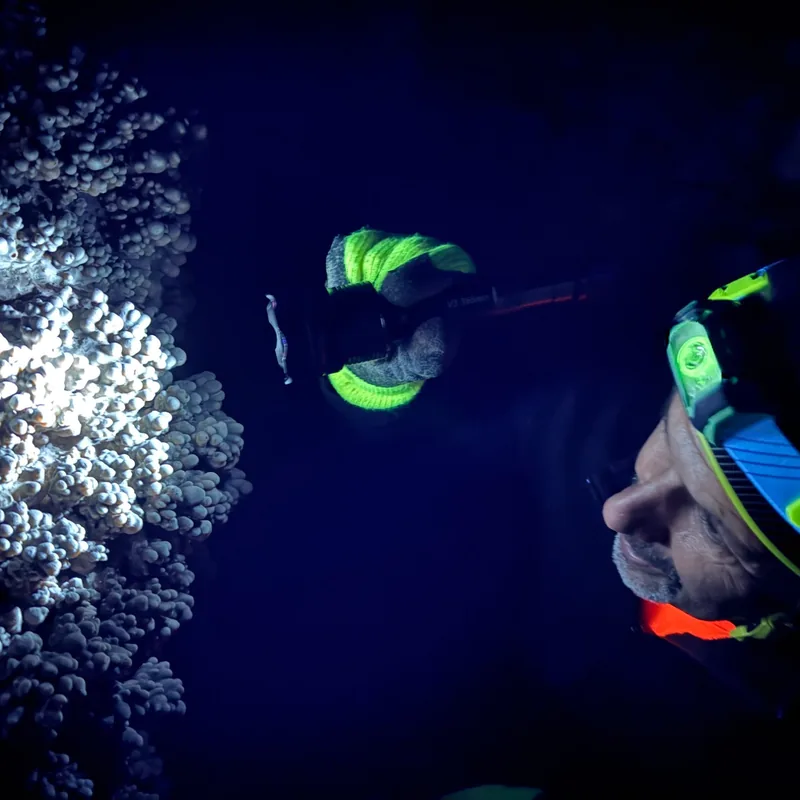 Fluorescencia UV en la cueva
