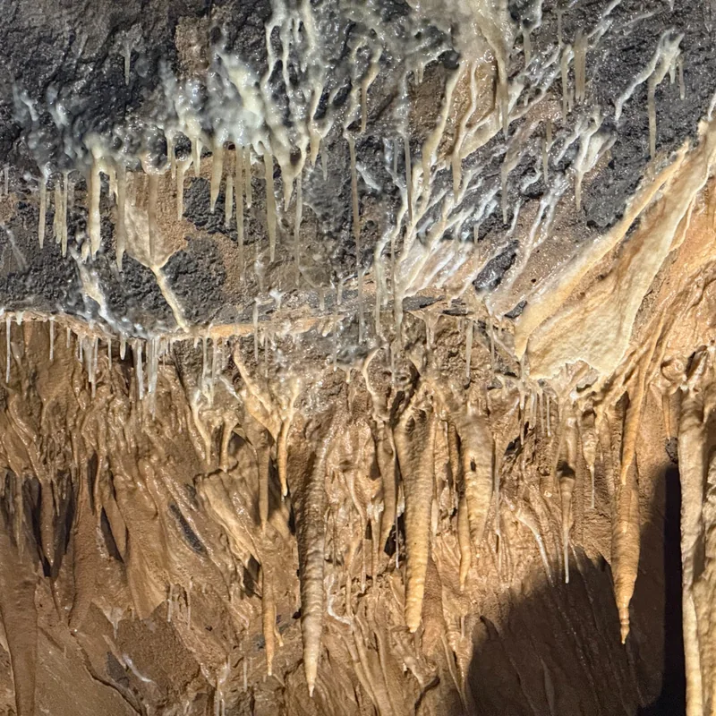 Banderas y excéntricas en la cueva